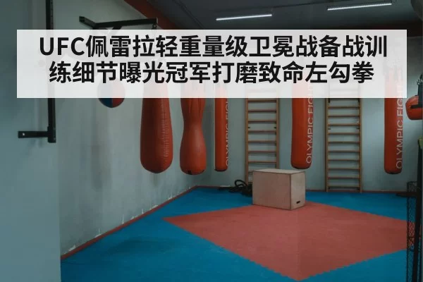 boxing punch training bag